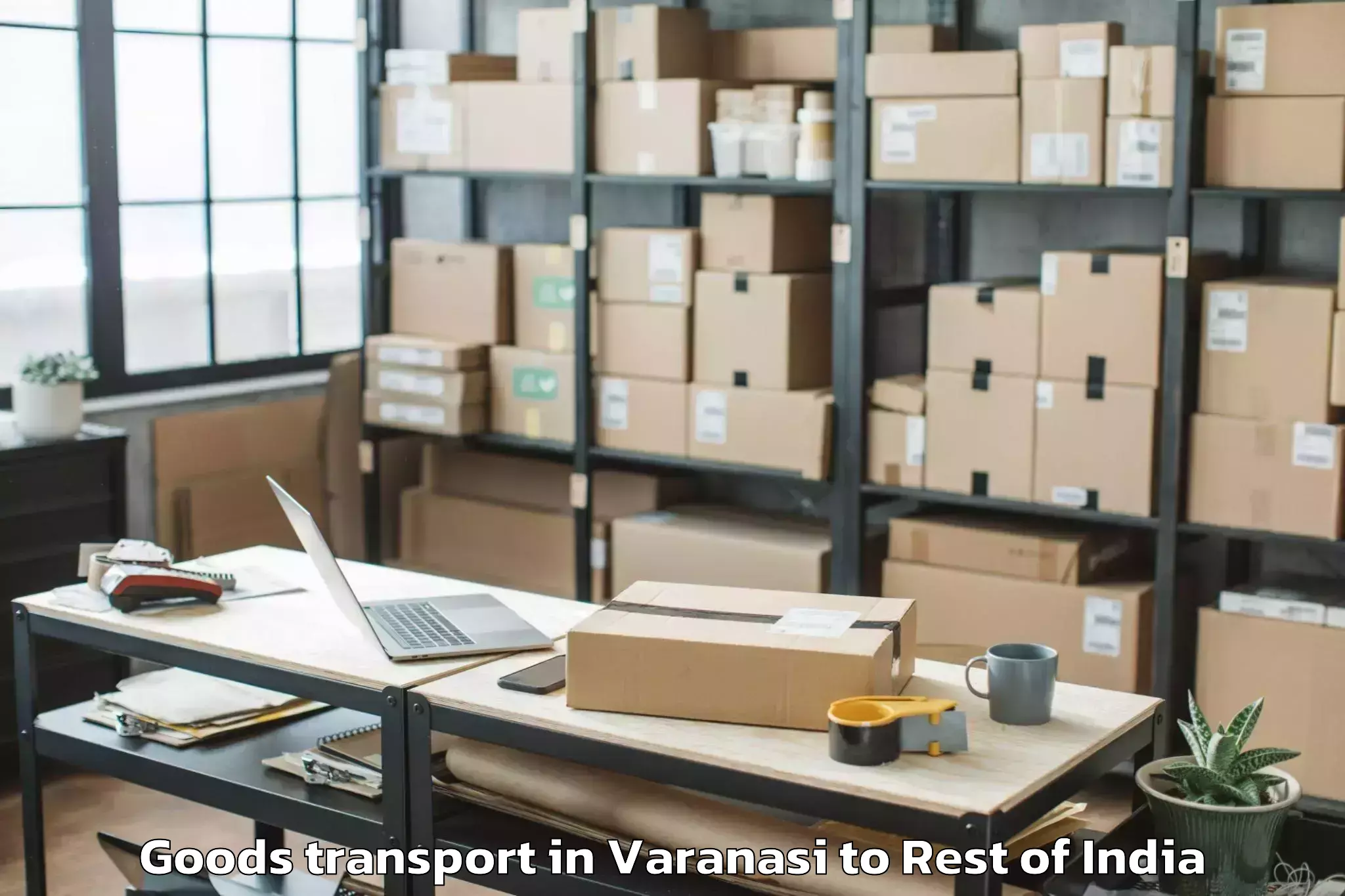 Efficient Varanasi to Sumbal Goods Transport